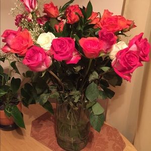 Meet your Posher, Dorothy